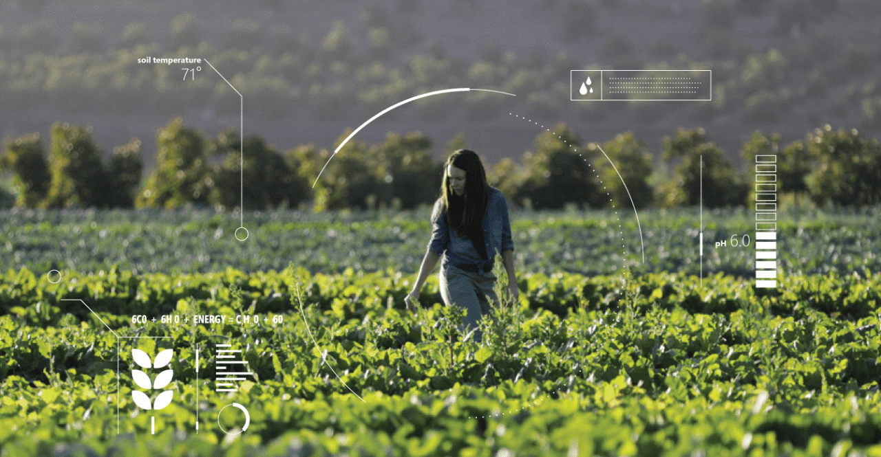 3 iot ứng dụng trong nông nghiệp